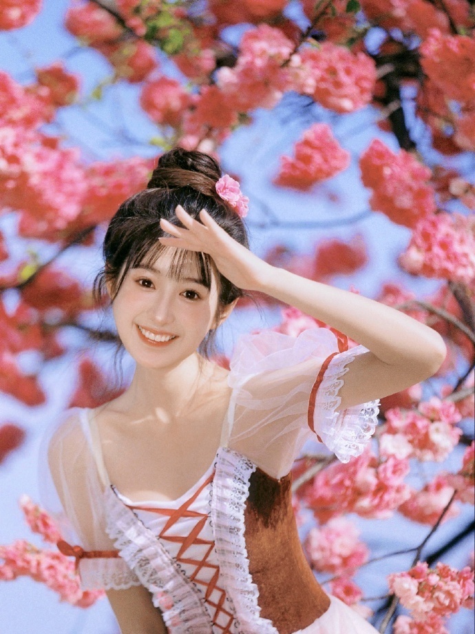 禁闭岛 封面